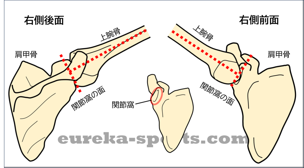 ゼロポジション（Zero-position）は一つではない？実は複数ある肩関節