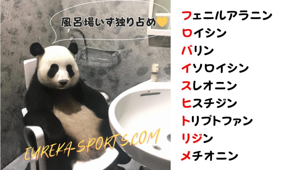 ADHDの人では脳が生成するメラトニンが少ないのでしょうか?