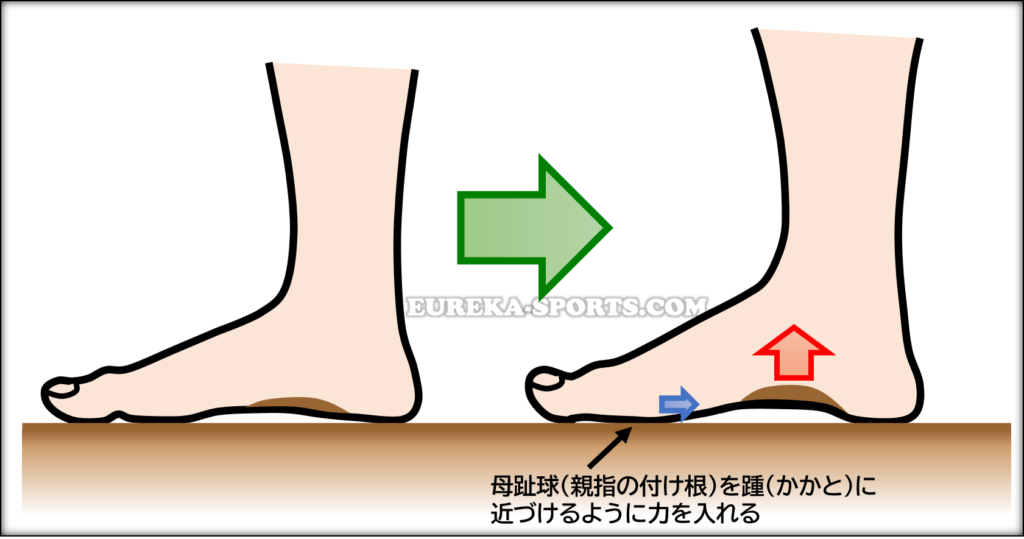 扁平足を改善するショートフットエクササイズ