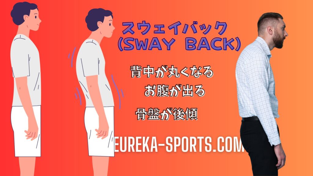 スウェイバック(sway back)